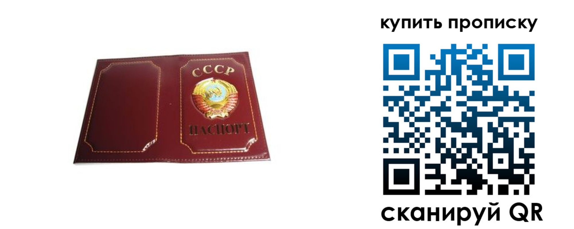прописка законно в Краснодаре